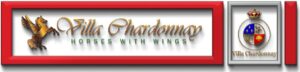 Villa Chardonnay Challenges in Prosecuting Animal Hoarding